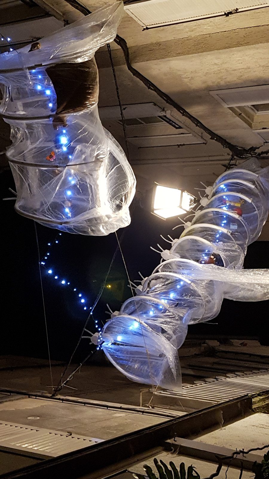 Ballade nocturne tardive au centre-ville de Meaux. Les corps serpentins de l'installation Cadadre exquis, faits d'arceaux et de bâches et contenant des objets hétéroclites, brillent étrangement dans la nuit grâce aux guirlandes qui les traversent