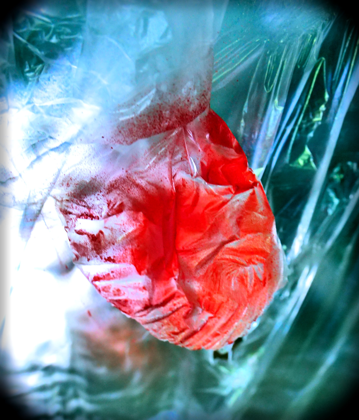 Une photo en clair-obscur coloré, d'une matière satinée, montre en gros-plan une forme organique ressemblant à un coeur, ses valvules et ses artères esquissées, qui semblerait presque pulser. Il s'agit d'une bâche translucide comprimée et peinte en rouge de telle sorte à évoquer le coeur et le sang.